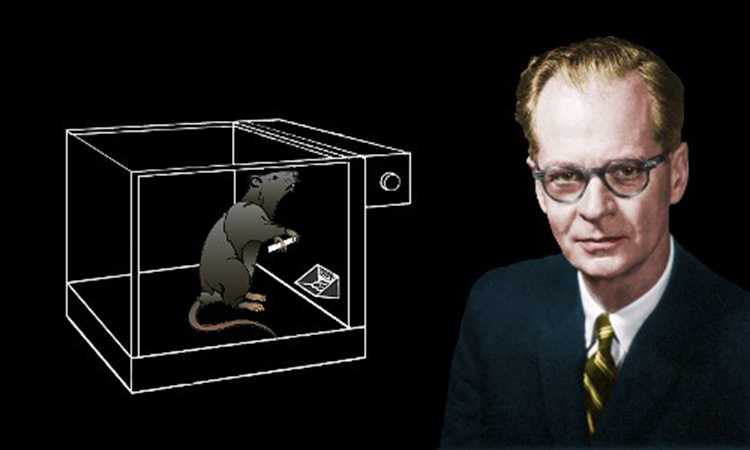 B.F Skinner B.F Skinner